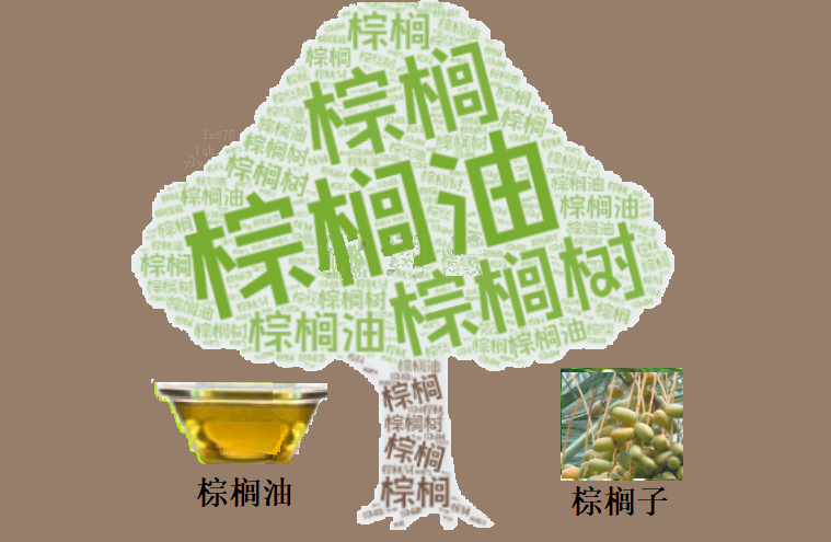 马棕榈油周五走高但出口疲软限制，未来或下探3745-3765林吉特范围__马棕榈油周五走高但出口疲软限制，未来或下探3745-3765林吉特范围